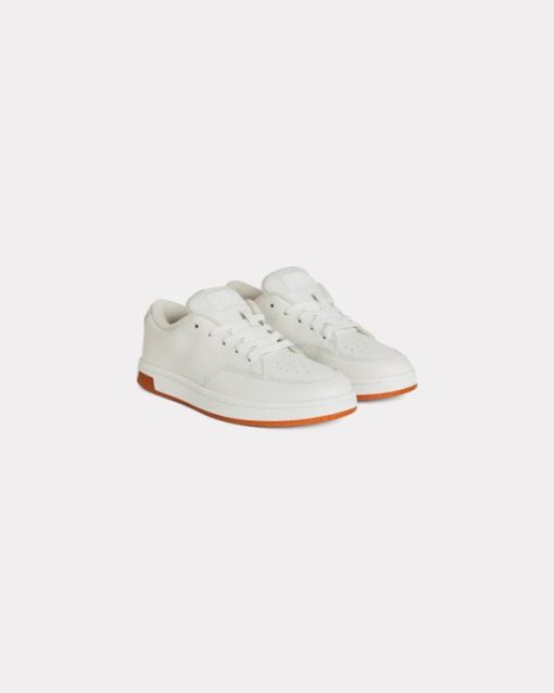 Theshoegrove.shopec2e52ad1e 2